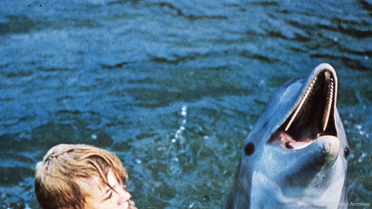 „Flipper”: Das wurde aus Kinderstar Luke Halpin