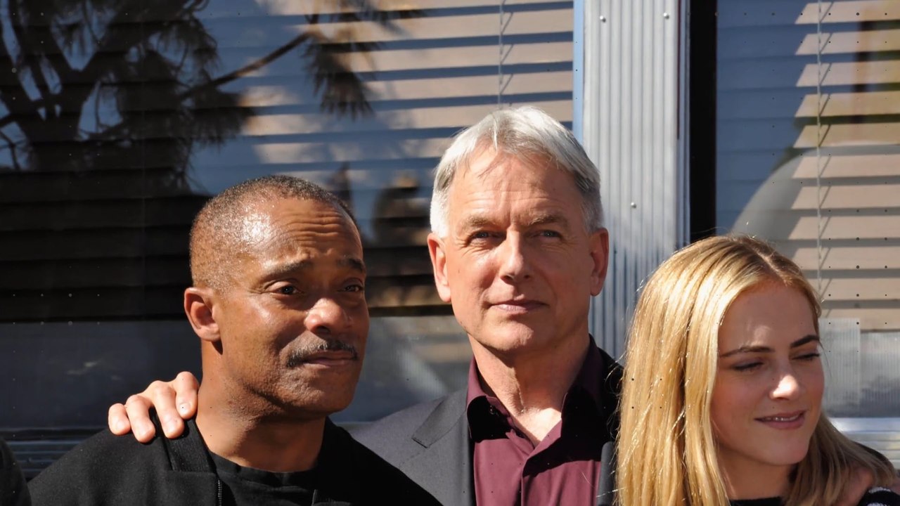Der ncis-cast im echten leben 2019