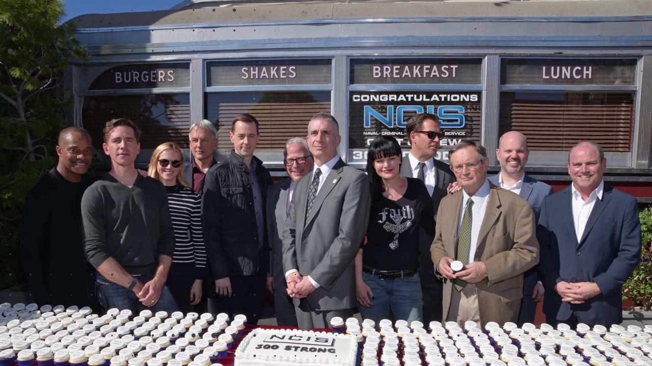 Diese NCIS-Stars würden wir gerne in NCIS: L.A. sehen