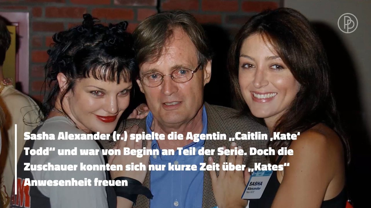 NCIS: Das sind die Ausstiegsgründe der Stars