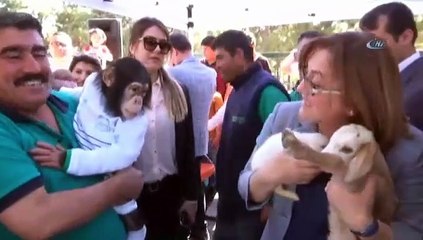 Kıskanç maymun Fatma Şahin'e saldırdı