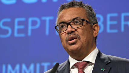 Malaria Report Signals Progress Against The Deadly Disease