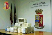 Viareggio - Droga nella pineta di Torre del Lago un altro arresto (15.12.20)