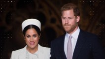 Royals: Ziehen Meghan und Harry bald nach Afrika? Das ist die Antwort des Hofs