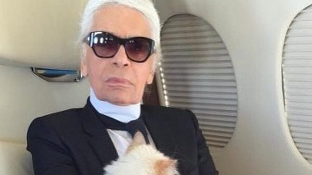 Katze von Karl Lagerfeld: Statement auf Choupettes Instagram-Profil