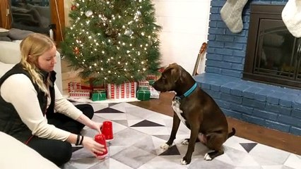 Rescue Doggie Loves Magic Tricks