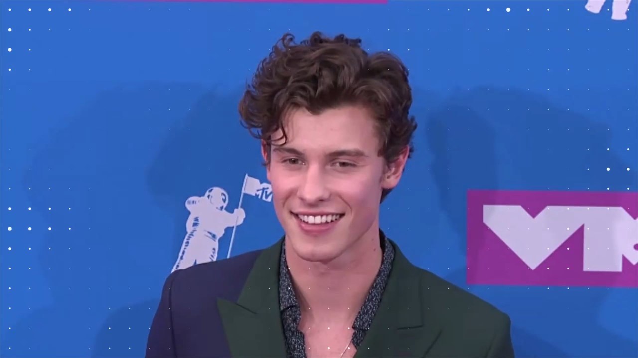 Shawn Mendes: 5 Fakten über den süßen Sänger