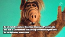 „Alf“-Reboot in Arbeit