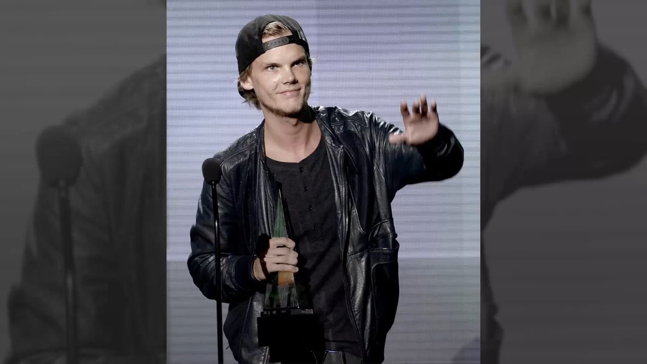 Aviciis Freundin ist jetzt auf Twitter