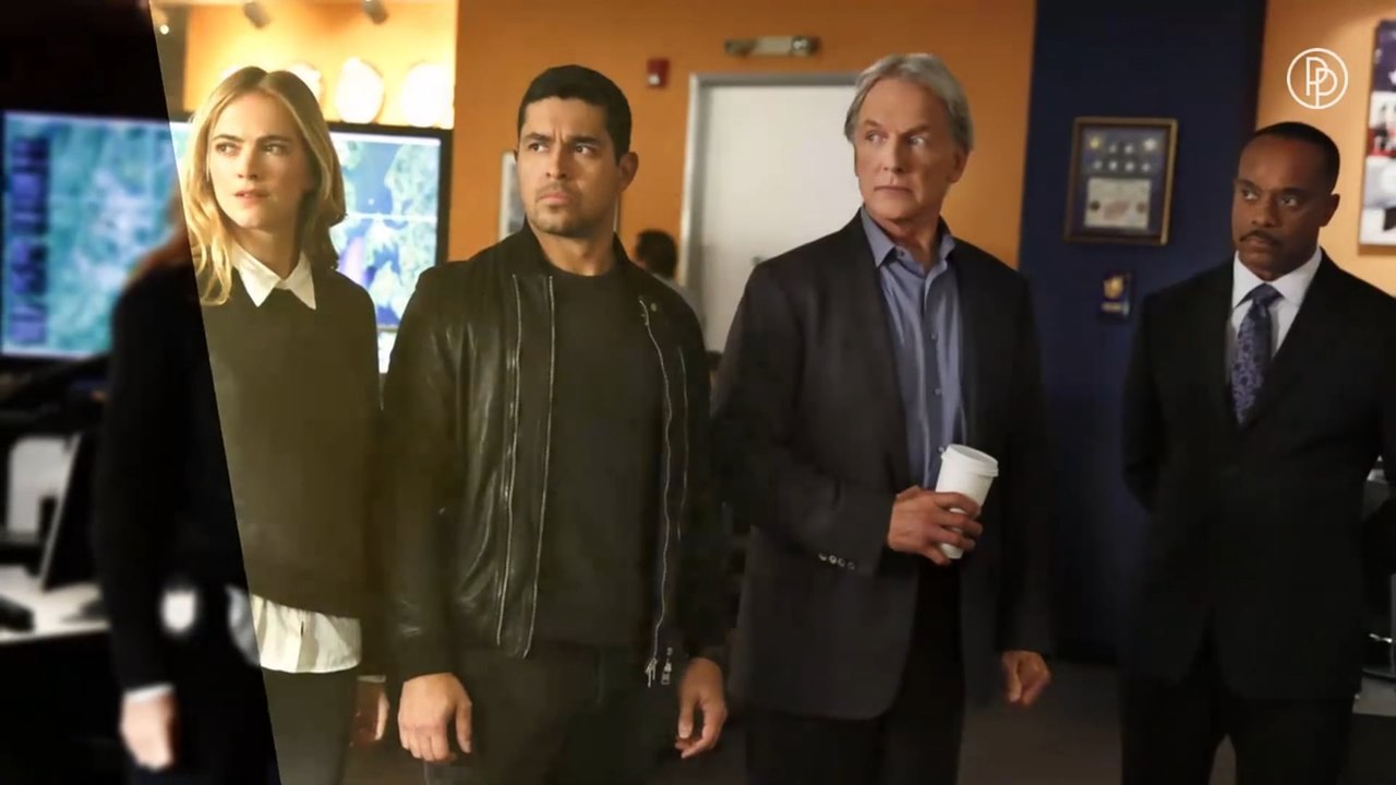 7 Fakten über „Navy CIS“, die ihr bisher noch nicht kanntet