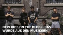 New Kids on the Block: Das wurde aus den Musikern