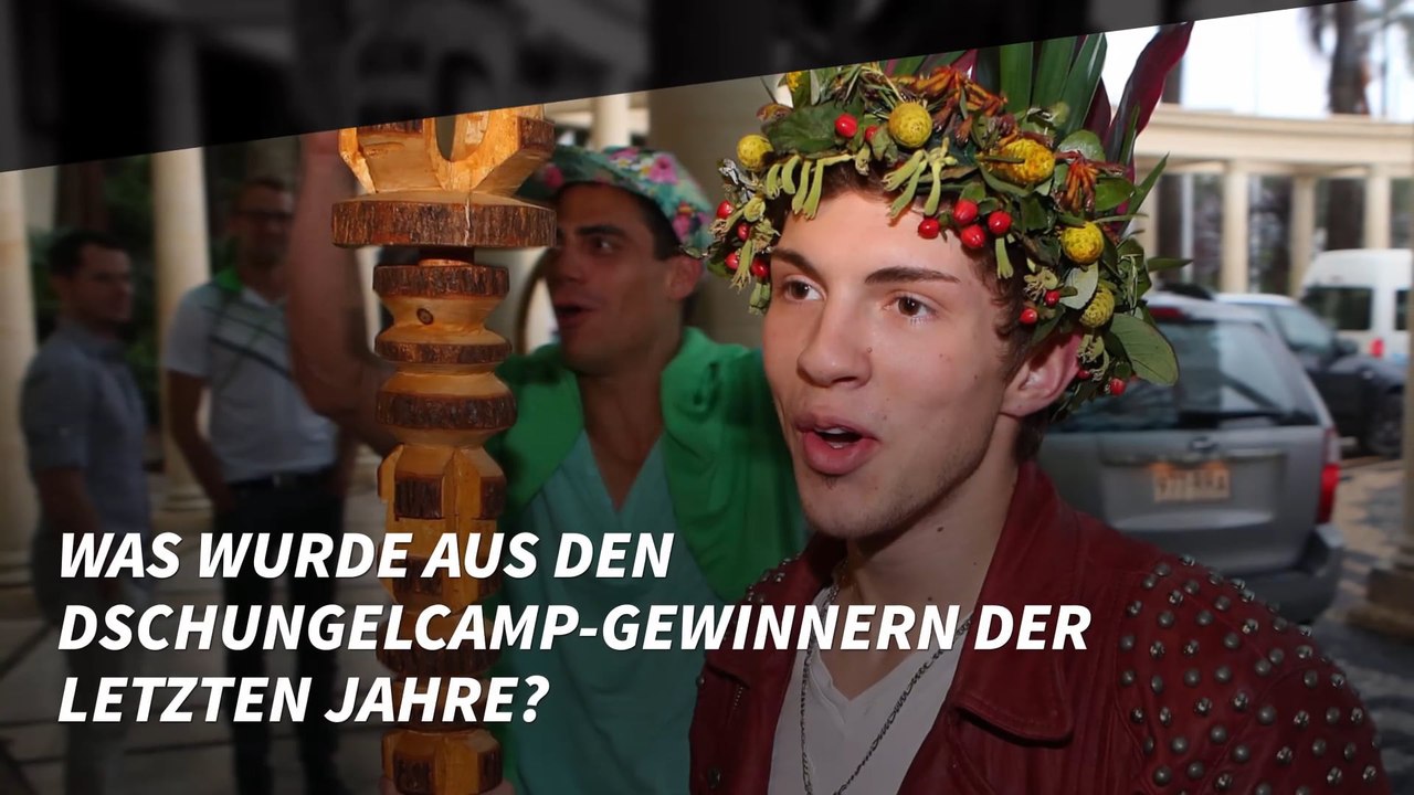 Was wurde aus den Dschungelcamp-Gewinnern der letzten Jahre?