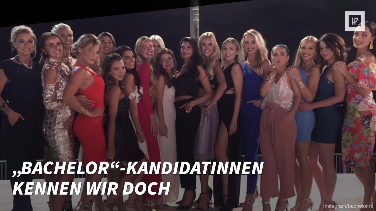 Keine Neulinge im TV-Business: Diese „Bachelor“-Kandidatinnen kennen wir doch