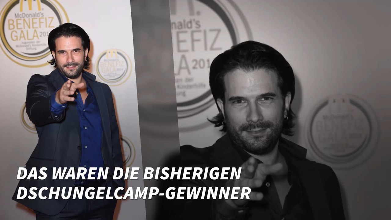 Das waren die bisherigen Dschungelcamp-Gewinner