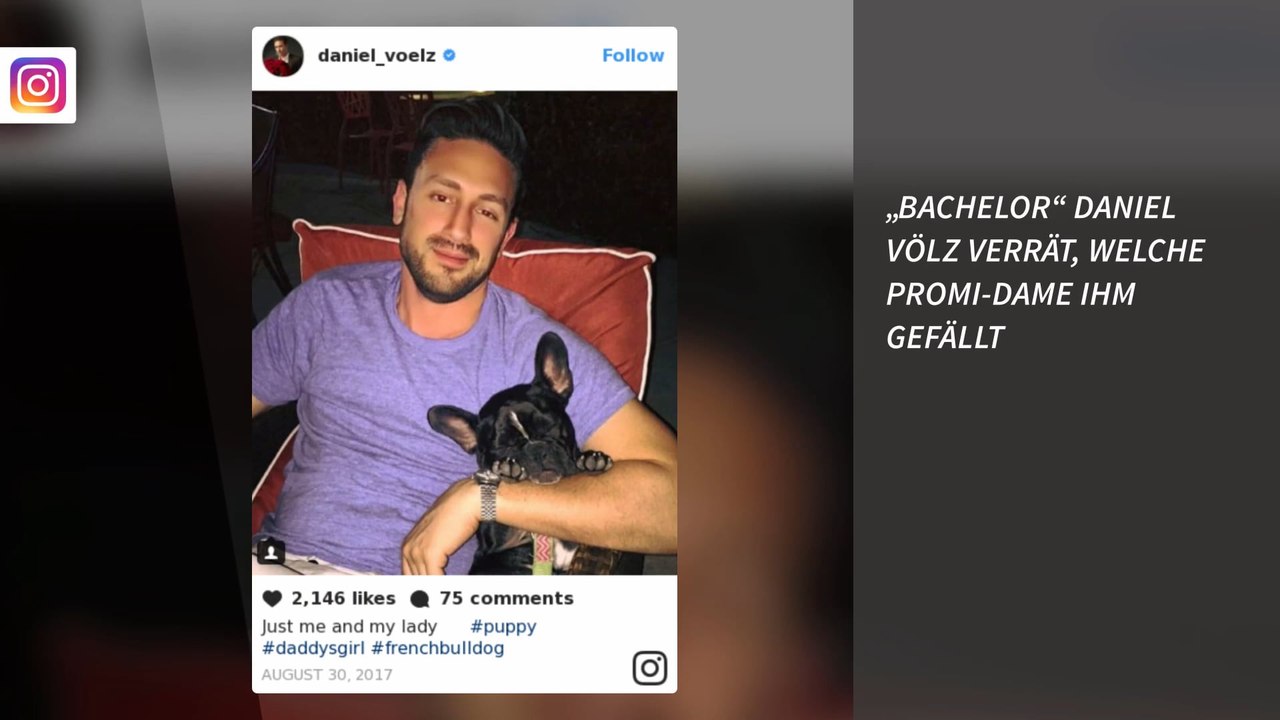 „Der Bachelor“ Daniel Völz verrät, welche Promi-Dame ihm gefällt