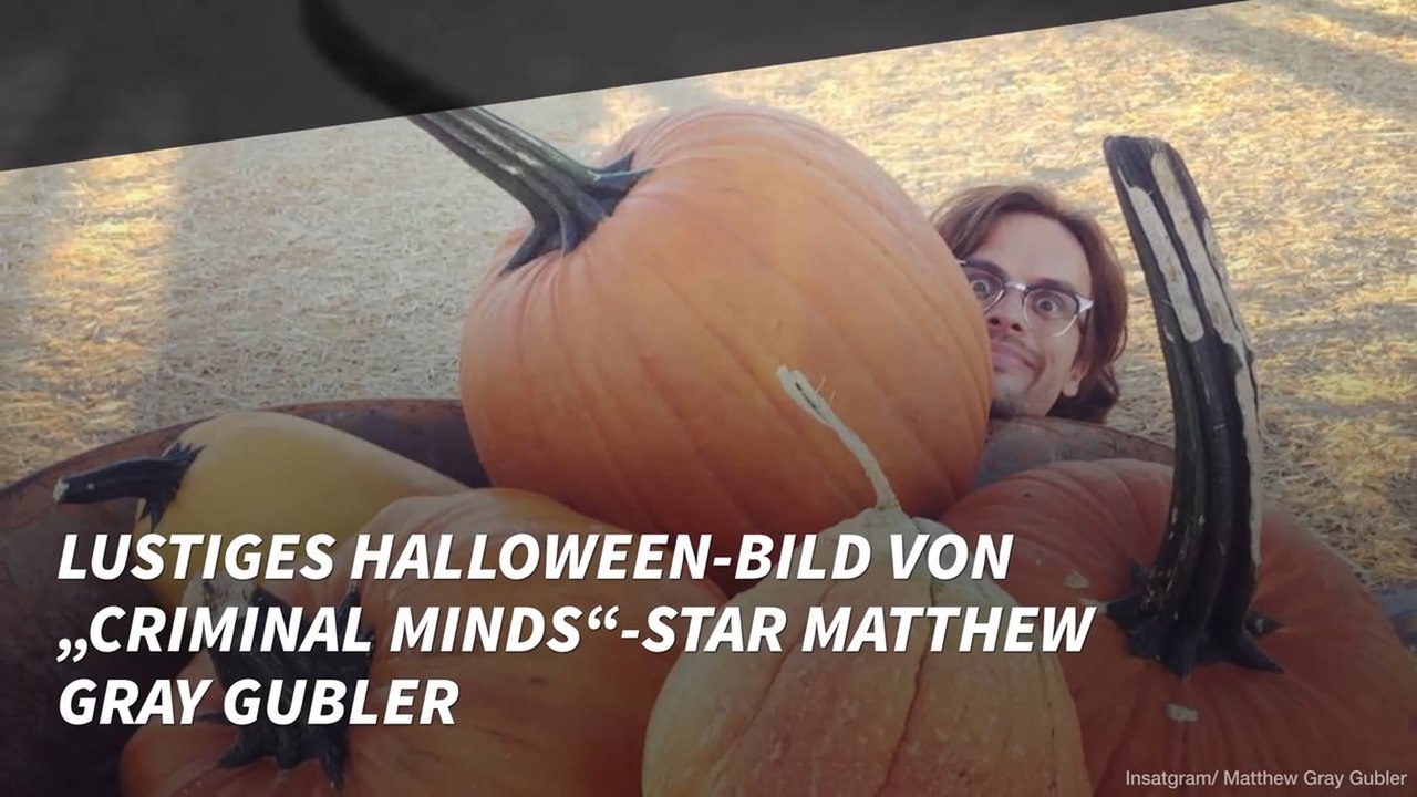 Lustiges Halloween-Bild von „Criminal Minds“-Star Matthew Gray Gubler