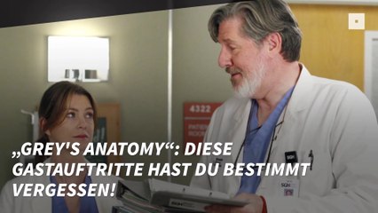 „Grey’s Anatomy“: Diese Gastauftritte hast du bestimmt vergessen!