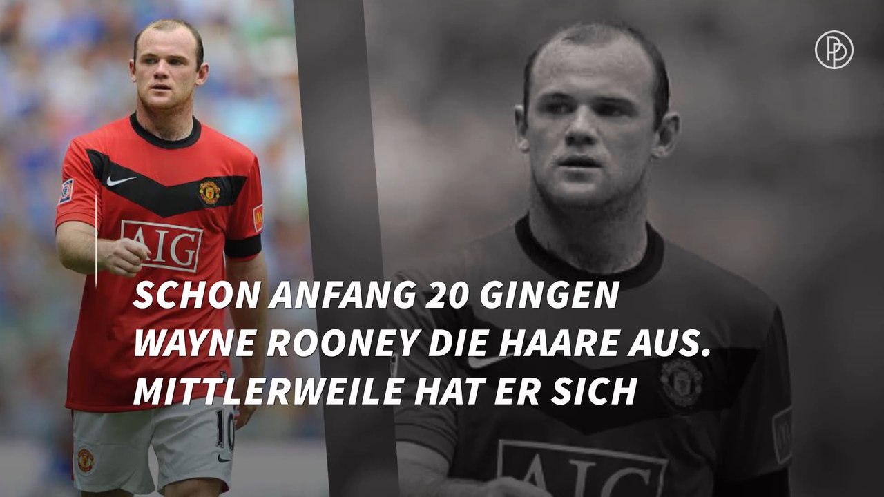 Stars mit lichtem Haar