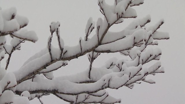 [날씨] 최강 한파 절정, 낮에도 영하권...서해안 눈 / YTN