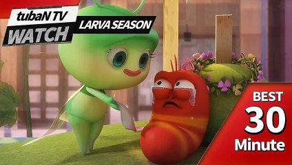 RANDOM PLAY I Watch 30 minutes a day!! I Ep.35I Larva Cartoon I Larva Official Channel  I part.1