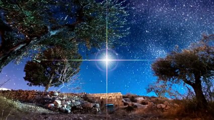 Jesus The Prince Of Peace And King Of Kings Is Born