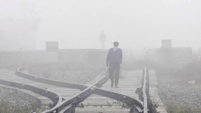 North India in the grip of cold wave; SC to hear 2 pleas on farmers' stir; more