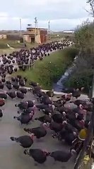 MANIF CONTRE LE REVEILLON DE NOEL