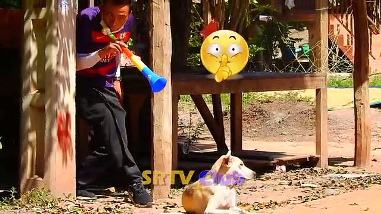 Best_Funny_Fans_Horn_vs_Group_Dogs_Prank_-_Must_watch_funny_video_of_the_day(360p)