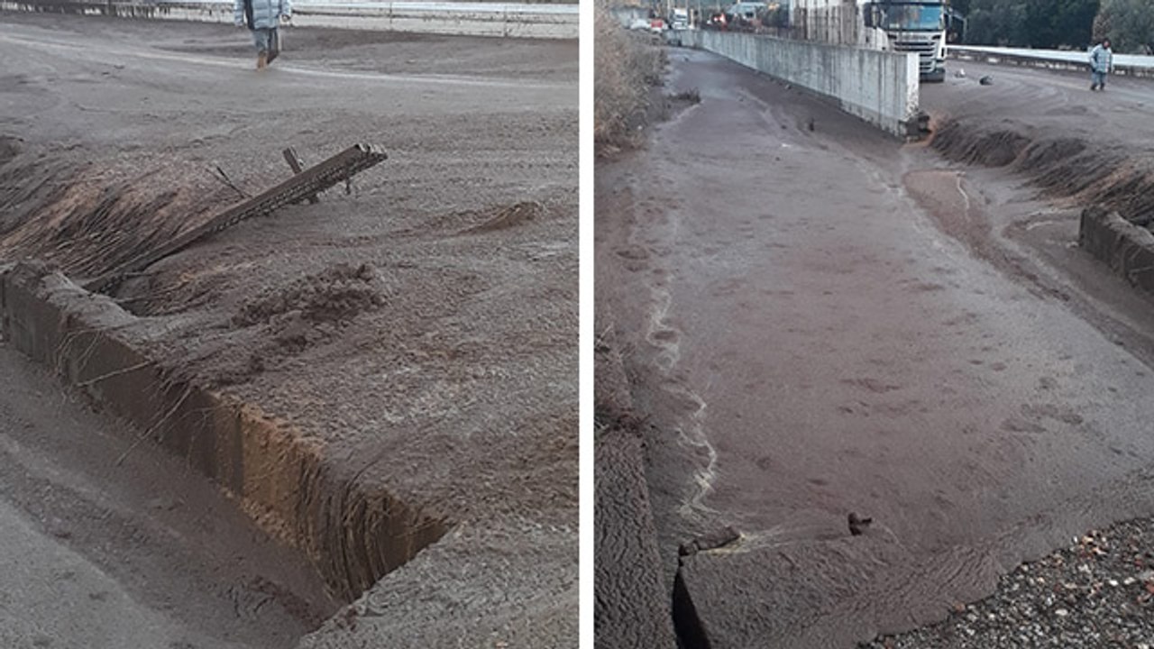 Ayvalık'ta çevre katliamı