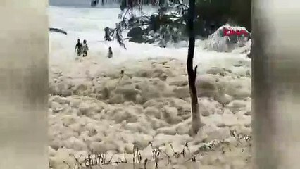 Tüm sahili kapladı duyan akın etti