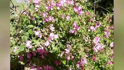 LE JOURNAL DE LA QUOTIDIENNE : Le journal du mardi 15 décembre 2020