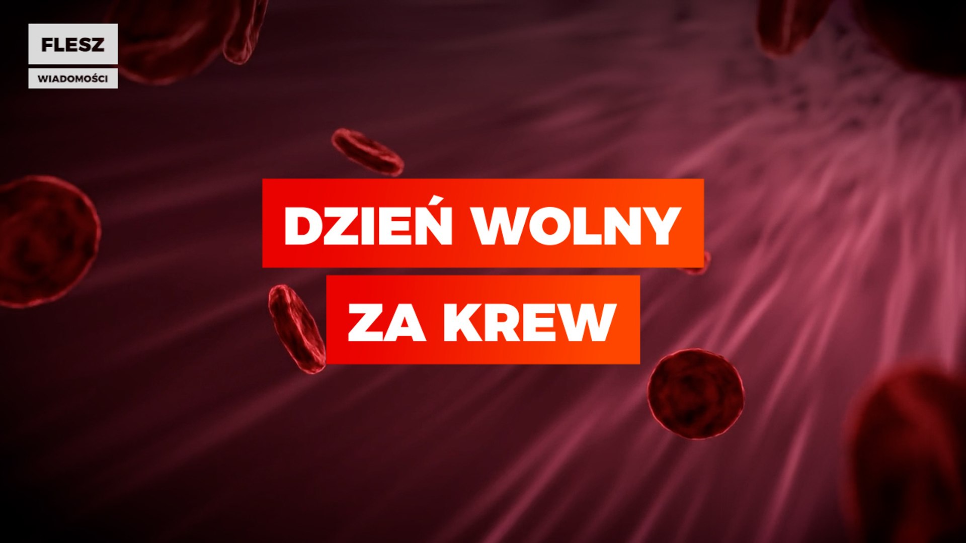 ⁣Dodatkowy dzień wolny od pracy dla osób, które oddały krew lub osocze