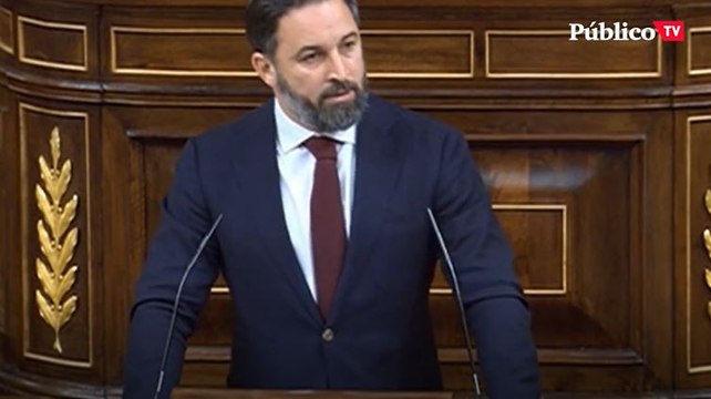 Abascal en el Congreso: No necesitamos miles de inmigrantes ilegales al año para pagar las pensiones