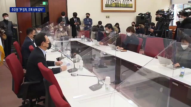 野 “조폭의 사적 보복…권력 비리 수사 막기 위한 2개월”