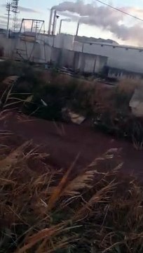 Ayvalık'ta tonlarca zehirli atık çevreye yayıldı