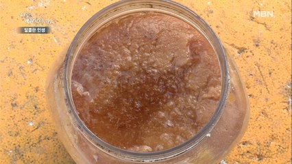 빈손으로 산에 들어온 자연인이 택한 양봉업