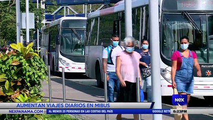 Download Video: Aumentan los viajes diarios en Mibus - Nex Noticias