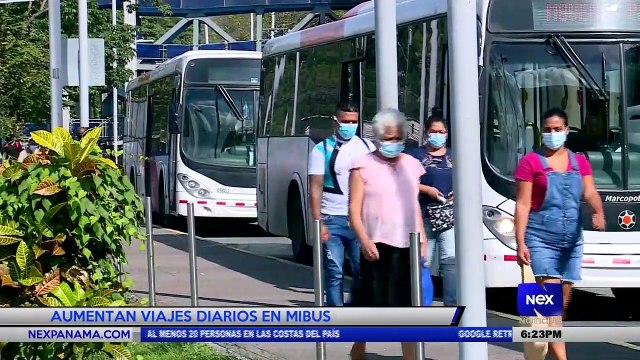 Aumentan los viajes diarios en Mibus - Nex Noticias