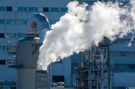 La pandemia mundial hace que las emisiones de dióxido de carbono caigan un 7% en 2020