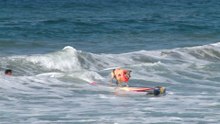 Feel-Good-Countdown, 12: Beach Dog-Surfing-Competition