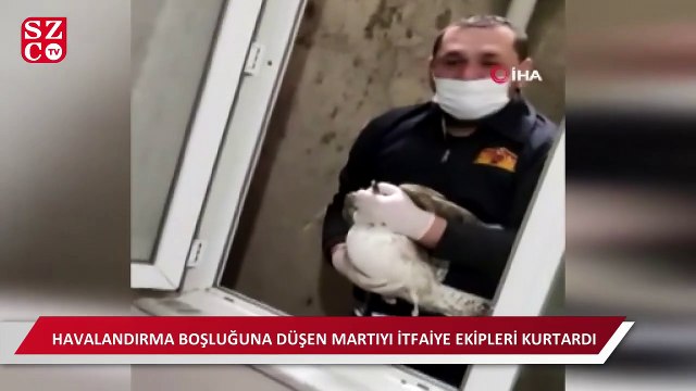 Havalandırma boşluğuna düşen martı kurtarıldı