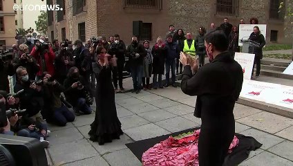 Espagne : SOS flamenco en péril