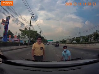 Good Samaritans Help Stray Cat on Busy Road