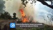 Corpo de Bombeiros atuam em incêndio em área de mata em Vitória
