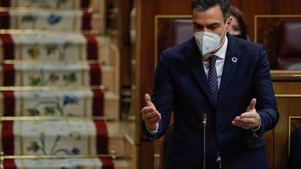 PEDRO SÁNCHEZ EXIGE A SUS MINISTROS QUE NO AIREEN SUS DISCREPANCIAS PARA NO PERJUDICAR AL GOBIERNO