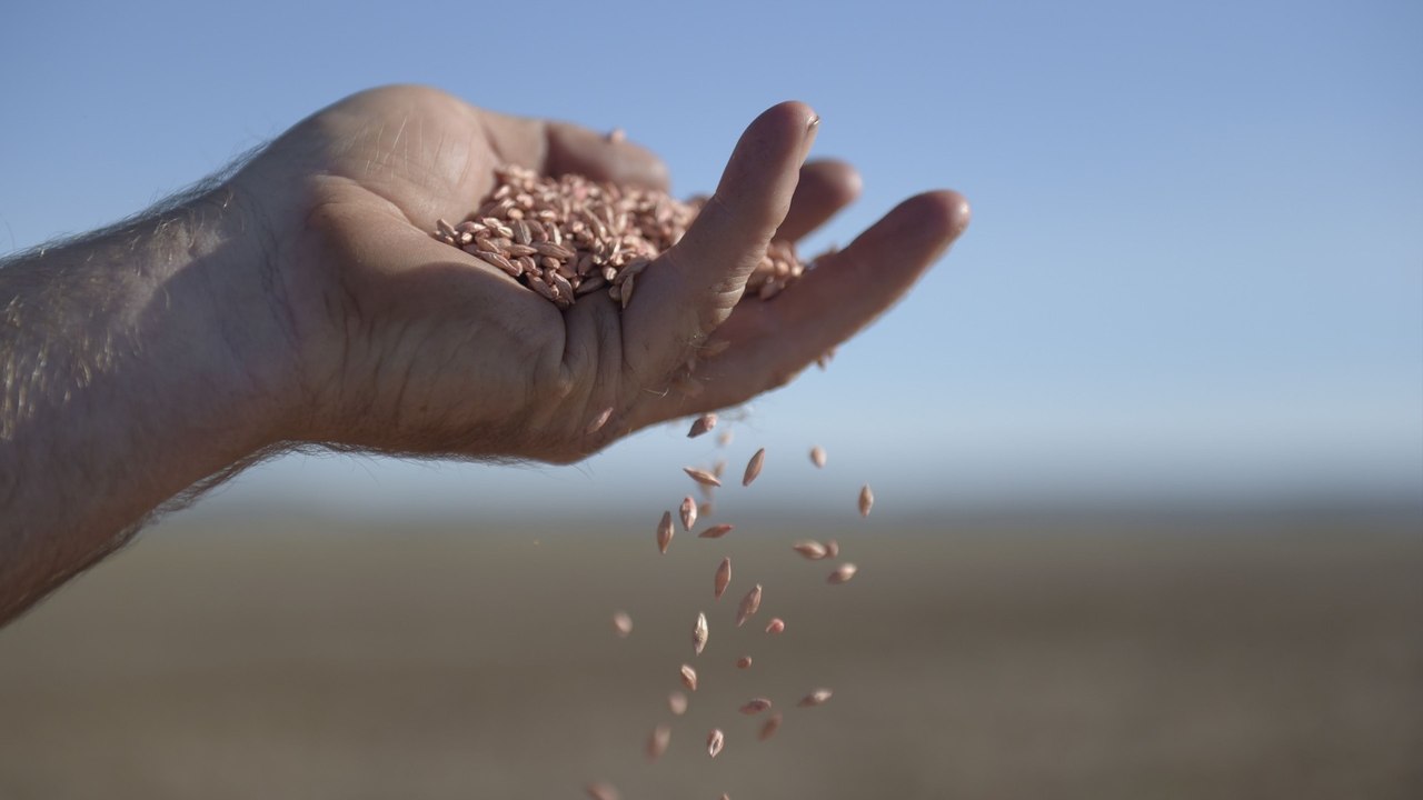 Australia to launch WTO appeal over China’s barley tariffs