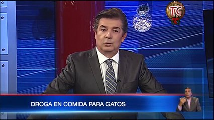 Nueva modalidad: Microtraficantes guardan droga en fundas de comida para gato