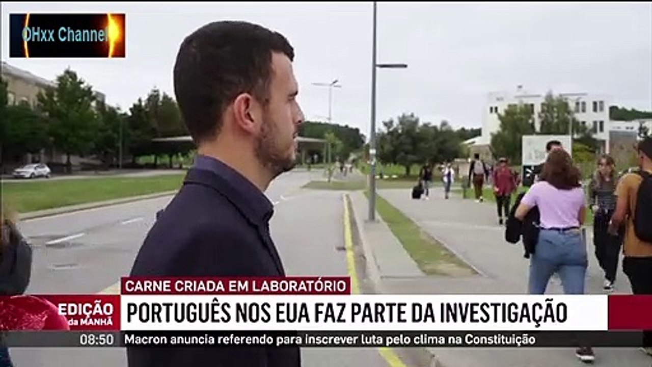 Investigador português faz parte da equipa que desenvolveu carne em laboratório