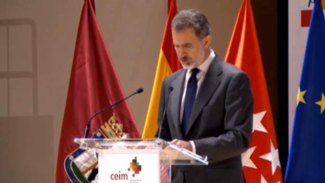 Rey Felipe pone en valor papel ejemplar y solidario de empresas durante pandemia