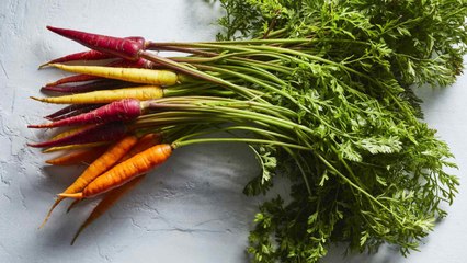 Can You Eat Carrot Greens?